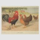 Search for vintage rooster tissue paper Furniture