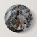 Search for funny squirrel badges Nature
