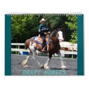 Search for draft horse Belgians