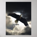 Search for eagle bird posters Nature
