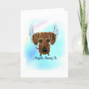 Search for dachshund angel postcards Sympathy