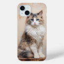 Search for ragdoll cat iphone cases Kitten
