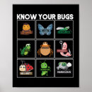 Search for software engineer posters Coding