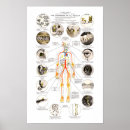 Search for school health office posters Dental