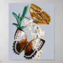 Search for vintage insect art Brown