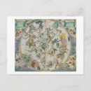 Search for cellarius postcards Terrestrial