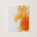 Search for goldfish puzzles Swimming
