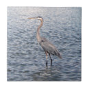 Search for blue heron tiles Animal