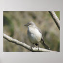Search for perched art Profile