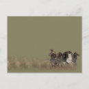 Search for chariot postcards Vase