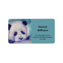 Search for black bear return address labels Black and white