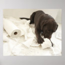 Search for chocolate brown posters White
