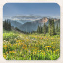Search for colorado coasters Wildflower