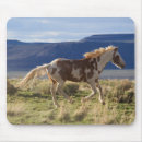 Search for ken mouse mats Ranch