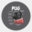 Search for black pugs stickers Funny