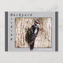 Search for digital animals postcards Wildlife