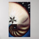 Search for fibonacci art Galaxy
