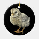 Search for chick christmas tree decorations Bird