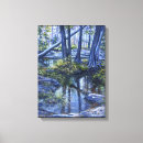 Search for reservoir art Nature
