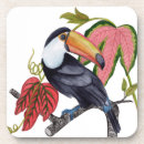 Search for exotic barware Jungle