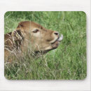Search for bovines mouse mats Farm animals