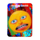 Search for bizarre magnets Weird