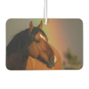 Search for horse car air fresheners Rainbow
