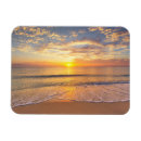 Search for seaside magnets Ocean