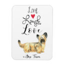 Search for laughing magnets Dog