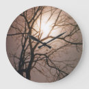 Search for tree of life clocks Motivational