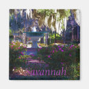 Search for oak tree magnets Savannah
