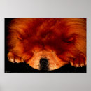 Search for chow posters Black