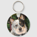 Search for cattles lover key rings Dog