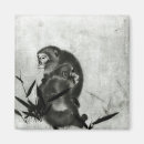 Search for singe magnets Monkey