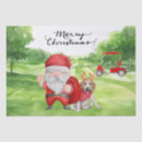 Search for santa claus tissue paper Dog