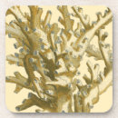 Search for algae home living Sea