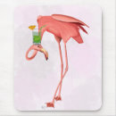 Search for funny flamingo Cute flamingoes
