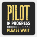Search for aviation stickers Flight instructor