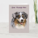 Search for herd dog cards Shepherd