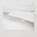 Search for purity horizontal postcards Surf