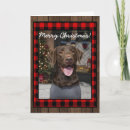 Search for black lab christmas cards Red