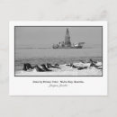 Search for colonial horizontal postcards Colony