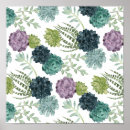 Search for succulent posters Plant