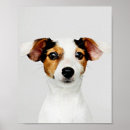 Search for jack russell posters Cute
