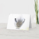 Search for funny donkey birthday cards Humor