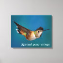 Search for bird watcher canvas prints Hummingbird