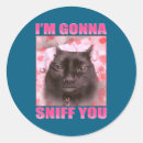 Search for funny buttons and stickers Collection