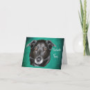 Search for labrador thank you cards Dog