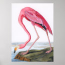 Search for vintage flamingo posters Pink