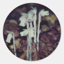 Search for pink mushroom stickers Floral